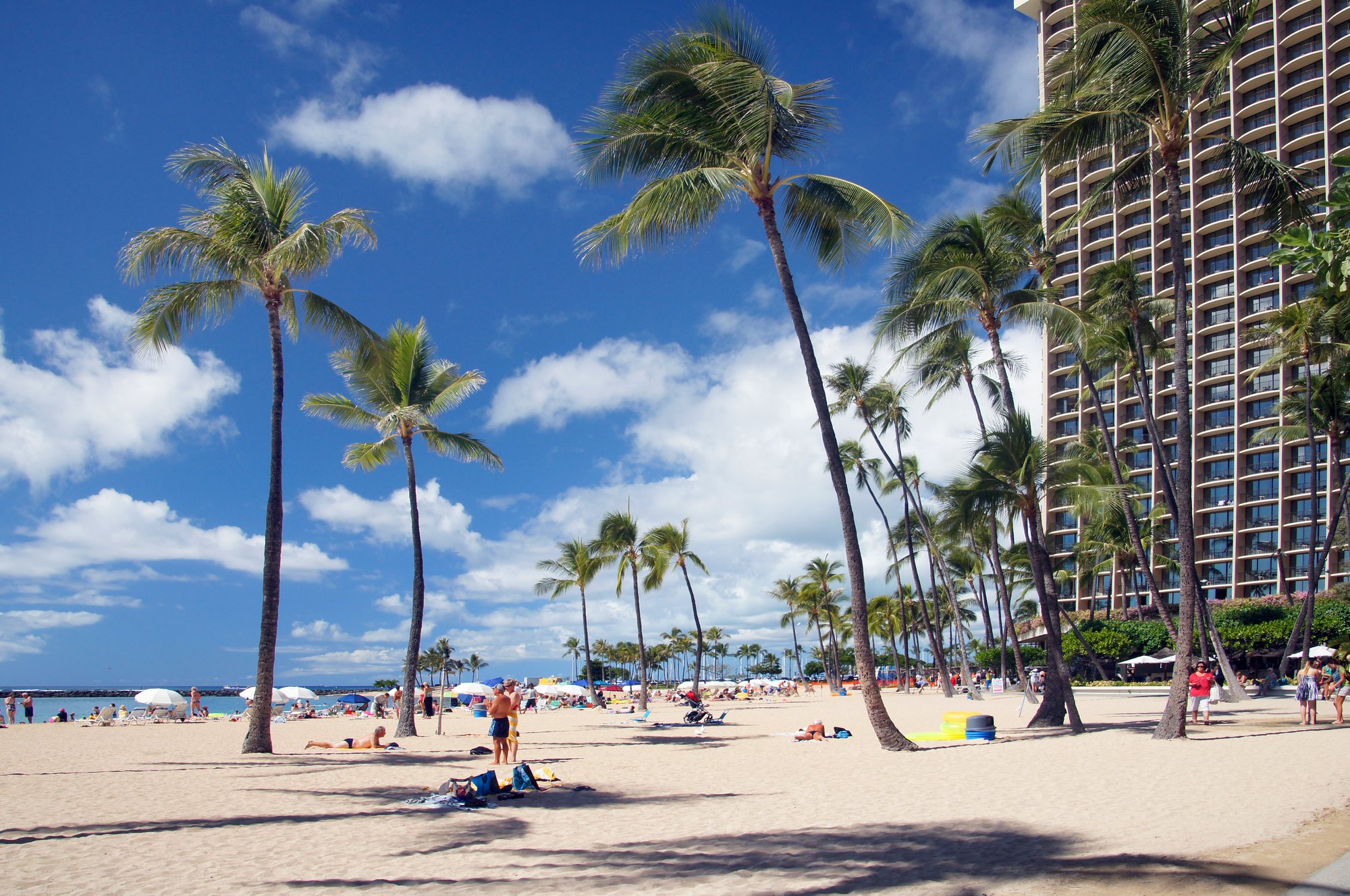 Palm trees and beachfront hotel along Waikīkī Beach in Honolulu